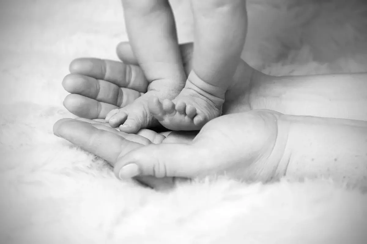 photo en noir et blanc des mains et des pieds de bébé et des mains d adulte