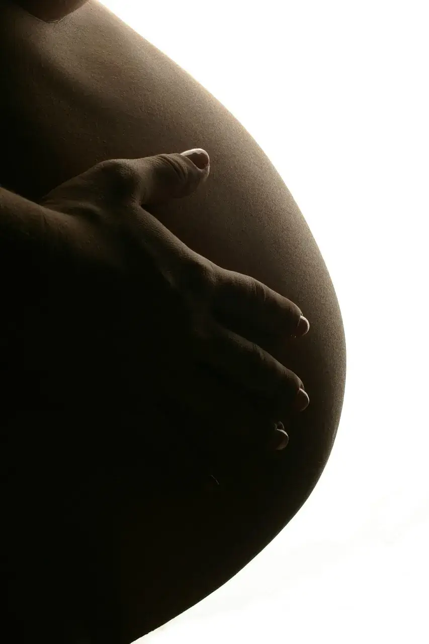 Silhouette de femme enceinte – lumière douce et naturelle.